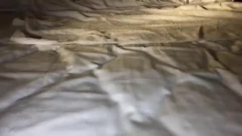 mark_nips02 online show from February 23, 11:50 pm