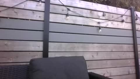 Masc39 online show from April 18, 8:20 pm