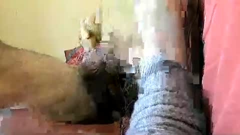 joyaam79 online show from October 23, 11:35 am