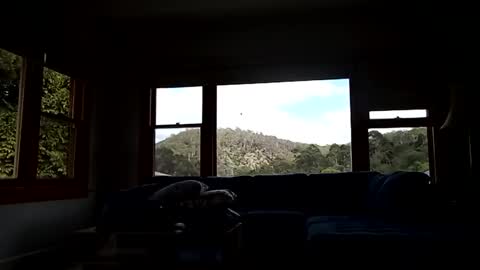 mattlesnake_101 online show from February 15, 12:39 am