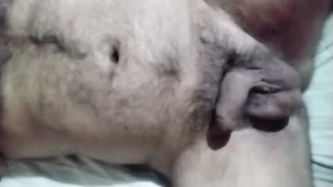 mbredi online show from February 19, 2:30 am