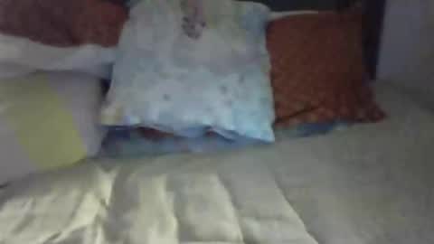 medvedoodl online show from December 11, 6:16 pm