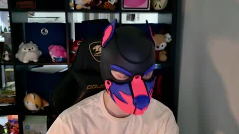 MellPUP online show from June 11, 6:28 pm