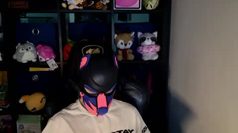 MellPUP online show from June 19, 11:59 am