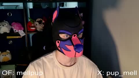 MellPUP online show from June 25, 1:05 pm