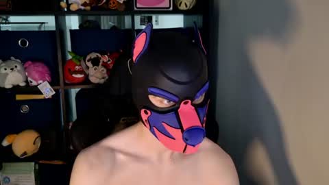 MellPUP online show from June 20, 3:17 pm