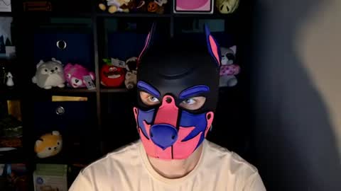 MellPUP online show from June 17, 11:56 am