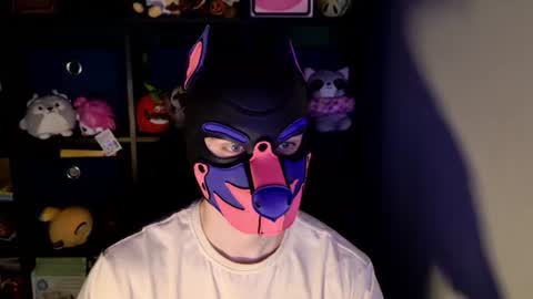 MellPUP online show from June 22, 11:37 am