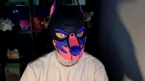 MellPUP online show from June 16, 11:45 am