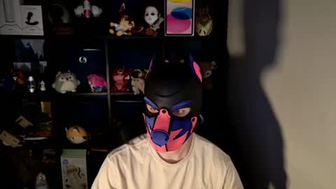 MellPUP online show from June 15, 11:24 am