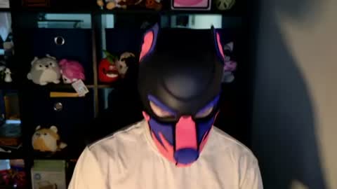MellPUP online show from June 23, 12:31 pm