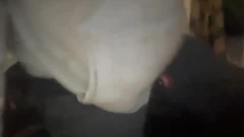 melt13 online show from February 2, 12:24 pm