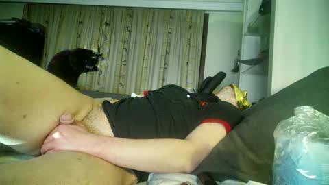 Snapshot of mirtoblack chatting on February 8, 1:43 am mirtoblack online show from February 8, 1:43 am