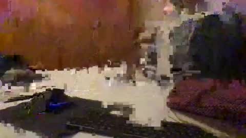 Mitchel New online show from February 2, 9:01 pm