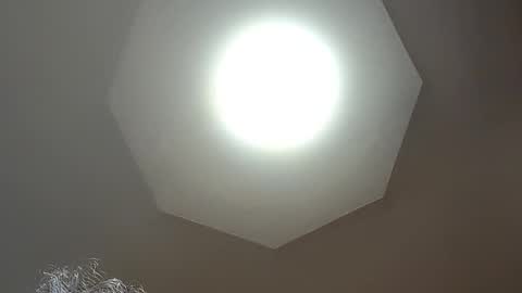 moos1 online show from February 7, 3:07 pm