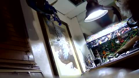 mphmsg7 online show from April 25, 4:15 am