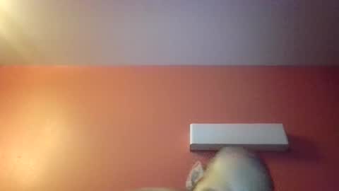 mrbig1_lilbrat online show from February 20, 10:06 am