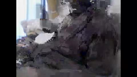 mycockissohard2021 online show from April 24, 6:43 pm