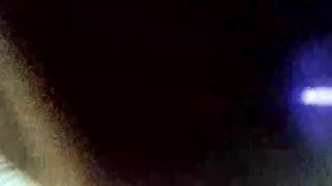 n9nature online show from December 18, 7:15 am