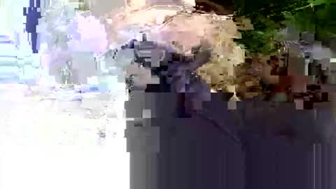 Nane online show from May 30, 10:48 am
