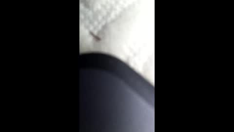 nastysubs69 online show from January 12, 4:21 am