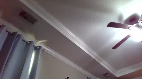 navyman34 online show from February 1, 9:19 pm