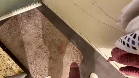 nbarrie98 online show from December 7, 4:25 pm