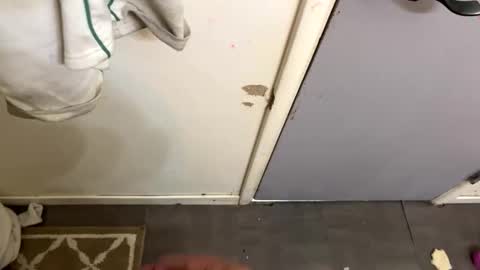 nbarrie98 online show from November 15, 1:35 pm