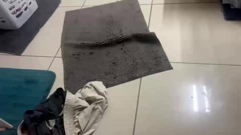 nesquick741960 online show from December 22, 12:02 pm