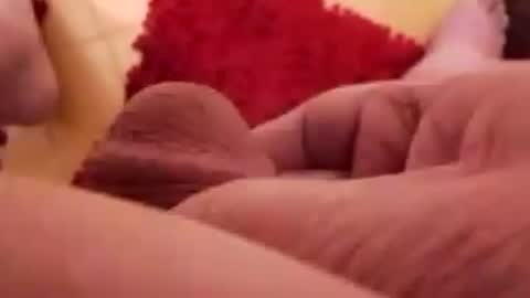 Snapshot of newbookwriter chatting on January 22, 6:52 am BookWriter online show from January 22, 6:52 am