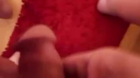 Snapshot of newbookwriter chatting on March 12, 5:24 am BookWriter online show from March 12, 5:24 am