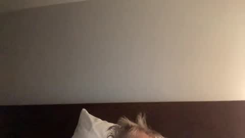 Snapshot of nice_gentle_naughty chatting on December 13, 11:34 am Nice Gentle Naughty online show from December 13, 11:34 am