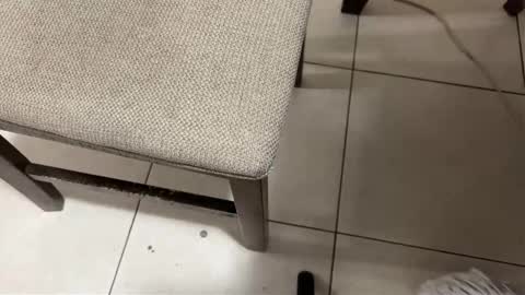 Carlos Nico online show from March 14, 8:32 am