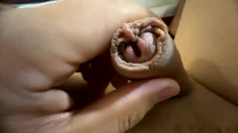 Nikk online show from September 15, 1:34 pm