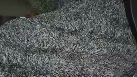 nineinchhard online show from February 1, 12:37 pm