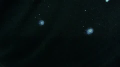 NMFun online show from February 6, 5:30 pm