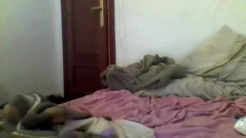 noa23x online show from November 2, 2:05 am