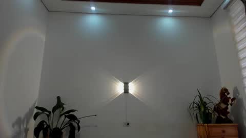 LIAM- noah online show from January 15, 1:14 pm