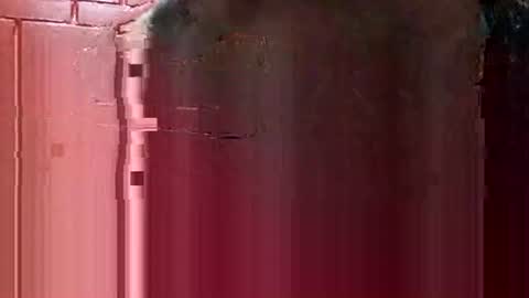 nocturnus1980 online show from December 3, 4:18 am