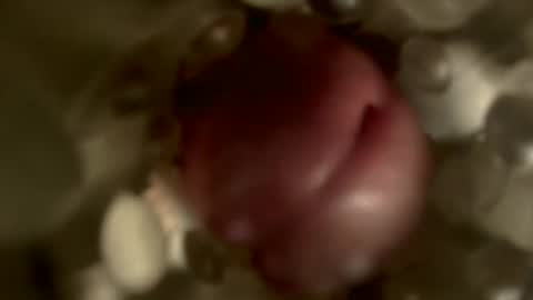 Snapshot of nocturnusfuz chatting on January 30, 2:47 pm nocturnusfuz online show from January 30, 2:47 pm