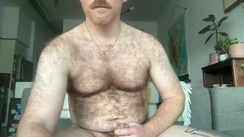 No Plan online show from November 24, 7:48 pm