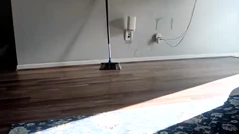 NYCGUY1982 online show from March 1, 9:03 pm