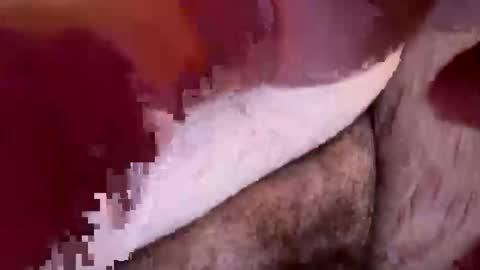 nyycity1927 online show from March 6, 5:26 am