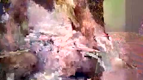 ocnyrmvntufr online show from December 17, 6:31 am