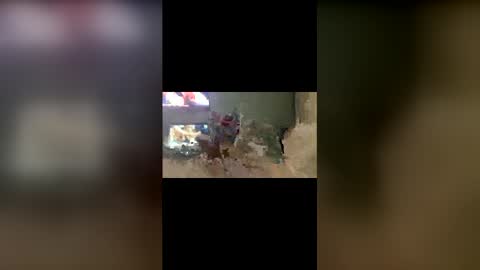 ojeremiah1961 online show from February 23, 3:41 am