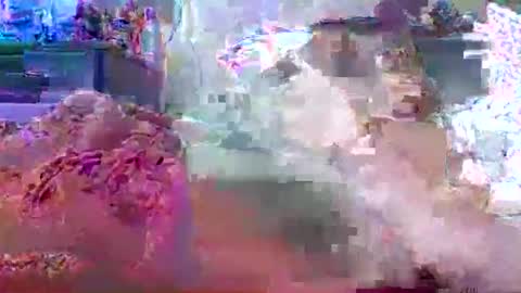 omza99 online show from November 5, 9:44 am