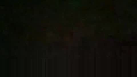 oretrail online show from September 26, 3:48 am