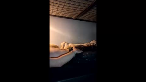 owenm2203 online show from April 23, 10:45 pm