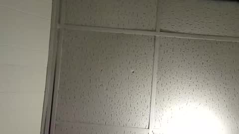 JD online show from November 19, 2:44 am