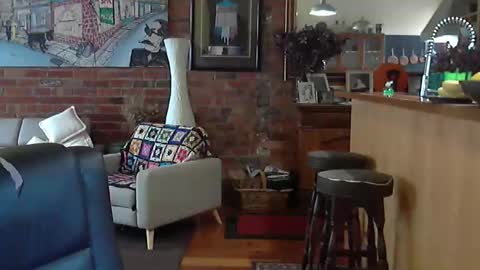 patvac online show from November 8, 1:53 am